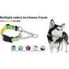 Martingale Dog Collars with Stainless Steel Chain, Reflective No Pull Walking Training Collar with Quick Release Buckle, Adjustable Slip Chain Nylon