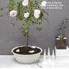10/20/50Pcs Conical Plant Breathable Watering Device Gasket Soil Aeration Root Garden Plant Bottom Flower Plant