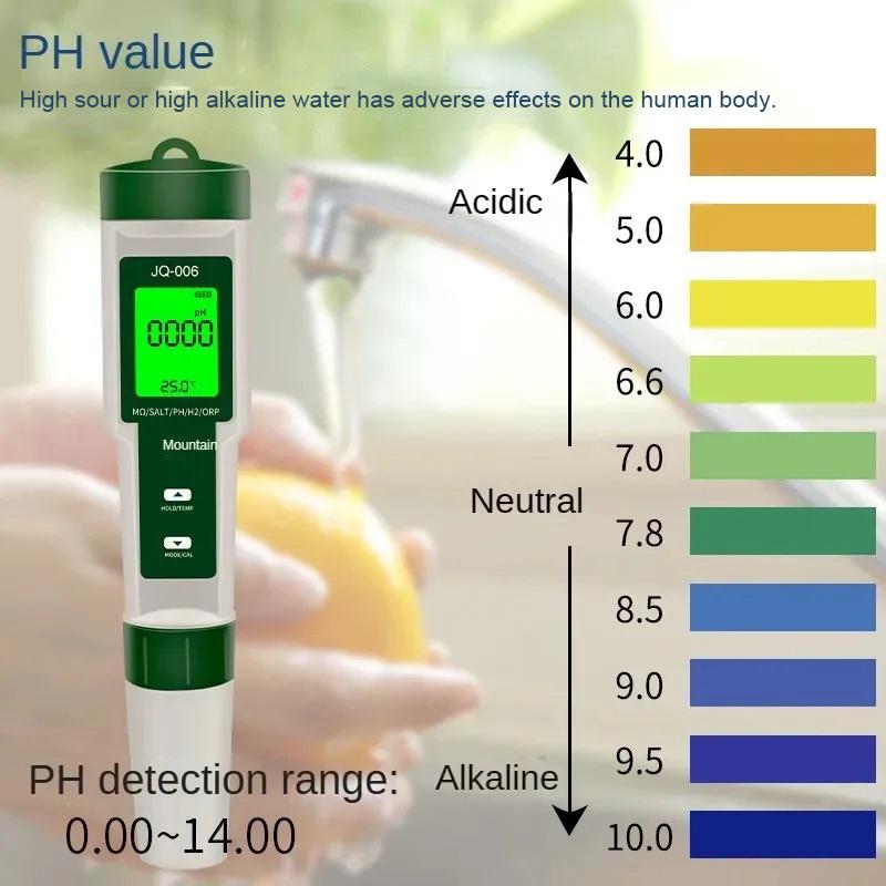10 in 1 pH Meter Water Tester High Precision Test TDS/PH/EC/H2/ORP/Fertility/Salinity/S.G/Resistivity/Temperature For Aquarium