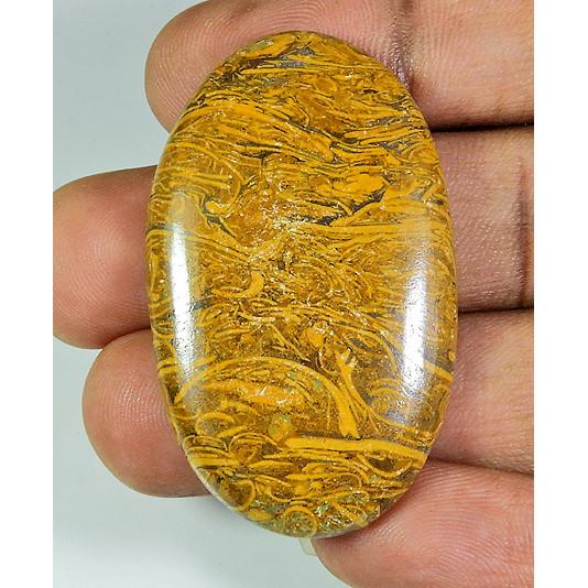 

70Cts. Natural Marium Fossil Oval Cabochon Loose Gemstone 28X46X05 MM PP-290