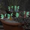 6 Stück Nachtlicht Flügel Blumenfee, Garten Mikro Landschaft Märchenwelt Szene Dekoration, Blumentopf Bonsai Blumenfee Plu