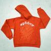Amerikanischer High Street Spinnenprint Hoodie Unisex Lockerer Partner Hoodie Trendiges Marken Oberteil