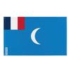 Drapeau - Mandat Français De Syrie - 160 X 240 Cm - Polyester - Impression Recto/verso - Œillets En Fer