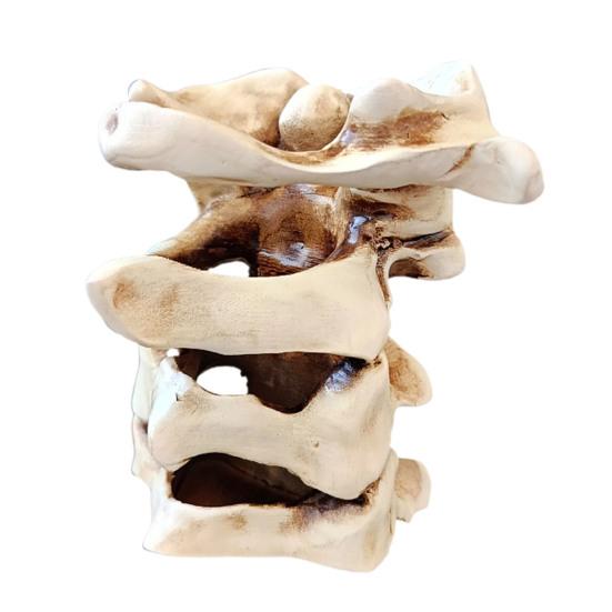 Simulated Spine Pen Holder Vertebral Column Resin Stationery Pencil Stand Organizer Container Home Office Desktop Decoration Ornament