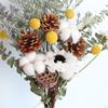 Eucalyptus Daisy Dried Plants Flower Ornaments Handmade for Heimwerken Vase Wedding Party