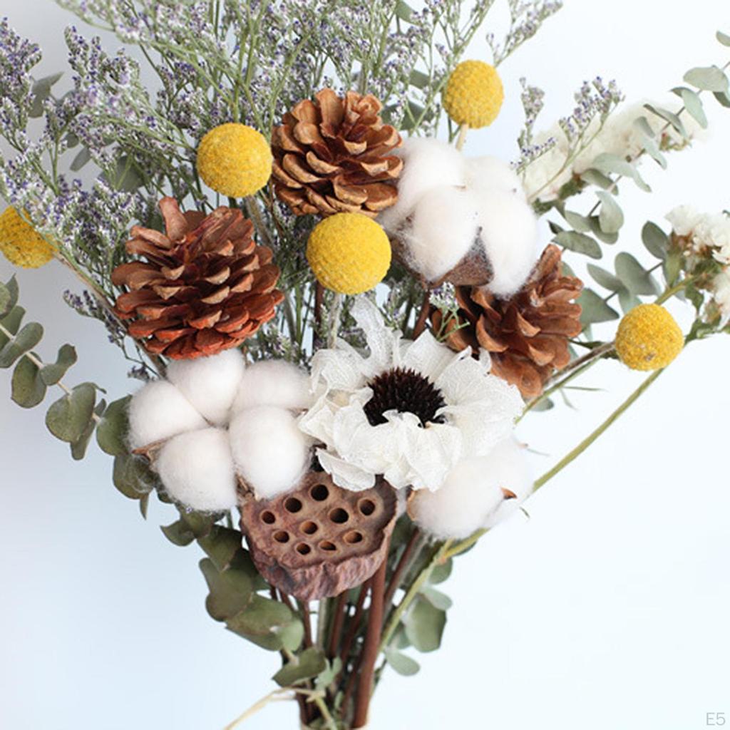 Eucalyptus Daisy Dried Plants Flower Ornaments Handmade for Heimwerken Vase Wedding Party
