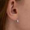 Tatiana (925 Silver) Round Cubic Hook Earrings EC3261