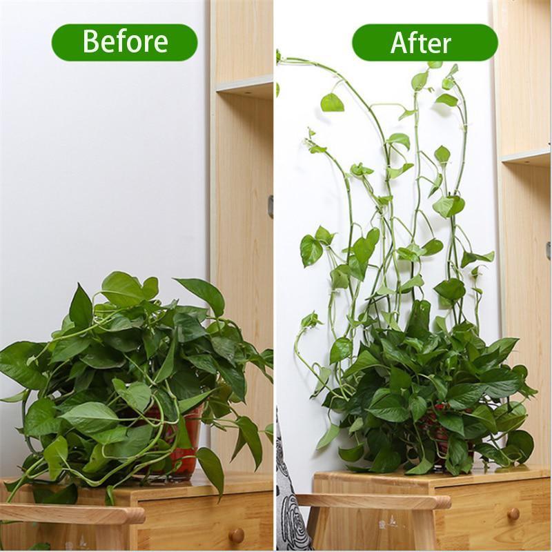 50 Stück Kletterpflanzen Wandclip Rattan Schnalle Haken Rattan Streifen Clip Selbstklebender Befestiger Pflanzenhalter Unsichtbare Halterung