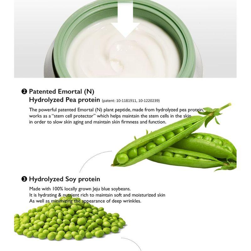HARUHARU WONDER Centella Phyto & 5 Peptid Konzentrat Creme