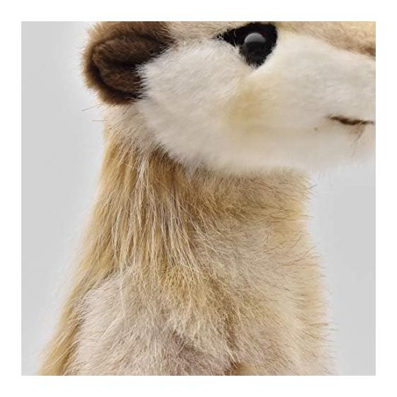 BH5326 HANSA Meerkat 33