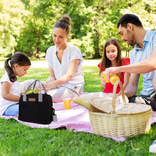 TOYMYTOY Cooler Bag, Lunch Bag, Insulated, Waterproof, Foldable, Cotton Canvas Fabric, Solid Color, Large Capacity, Easy to Carry, Outdoor, Work, Scho