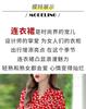 Summer new horn sleeves short sleeves V neck floral thin waist temperament fashionable Korean version A word dress women