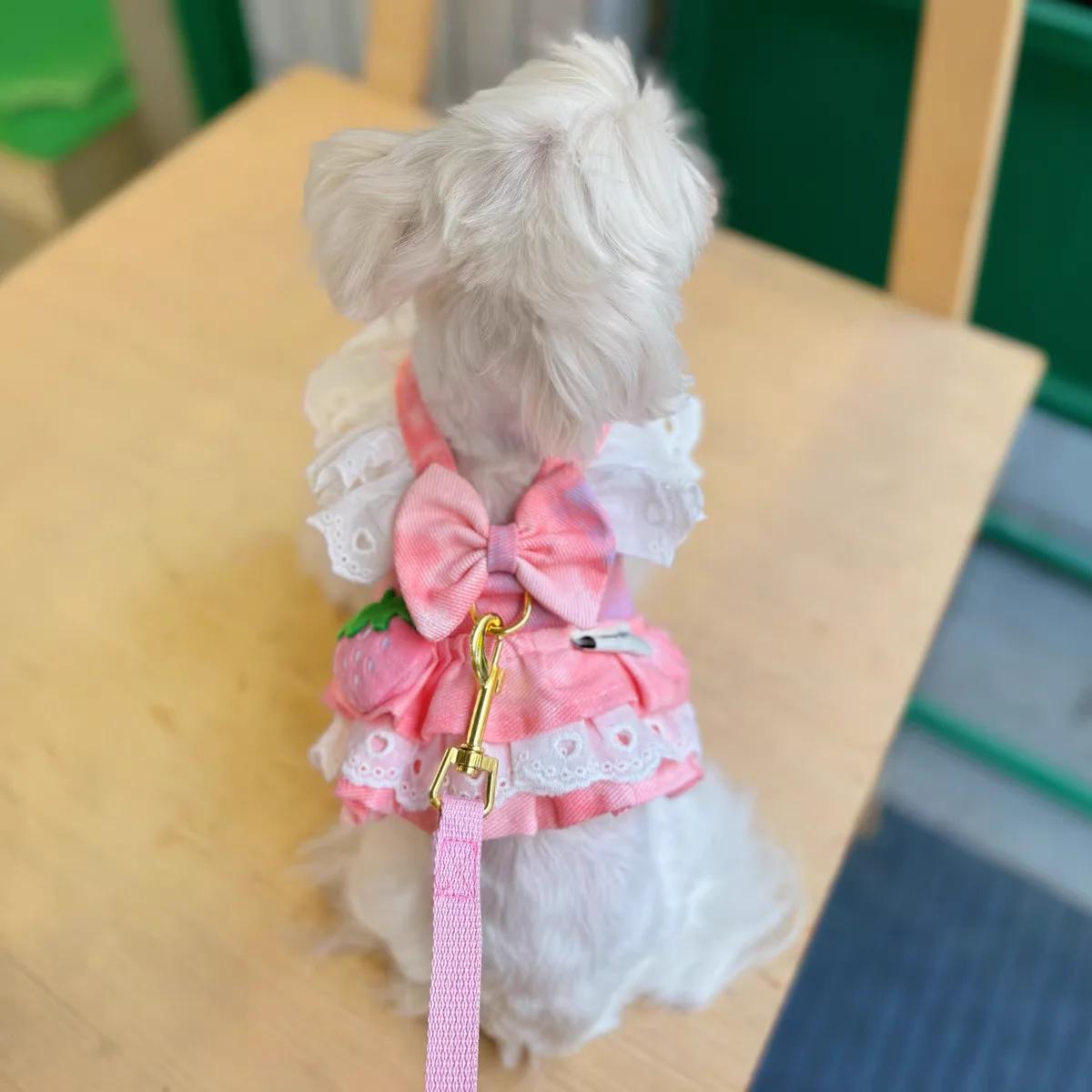 

Princess Dog Harness and Leash Set Sweet Strawberry Lace Plaid Puppy Vest Harness for Small Dogs Cats Chihuahua Pink Blue XS Chest 26 to 28cm рожевий