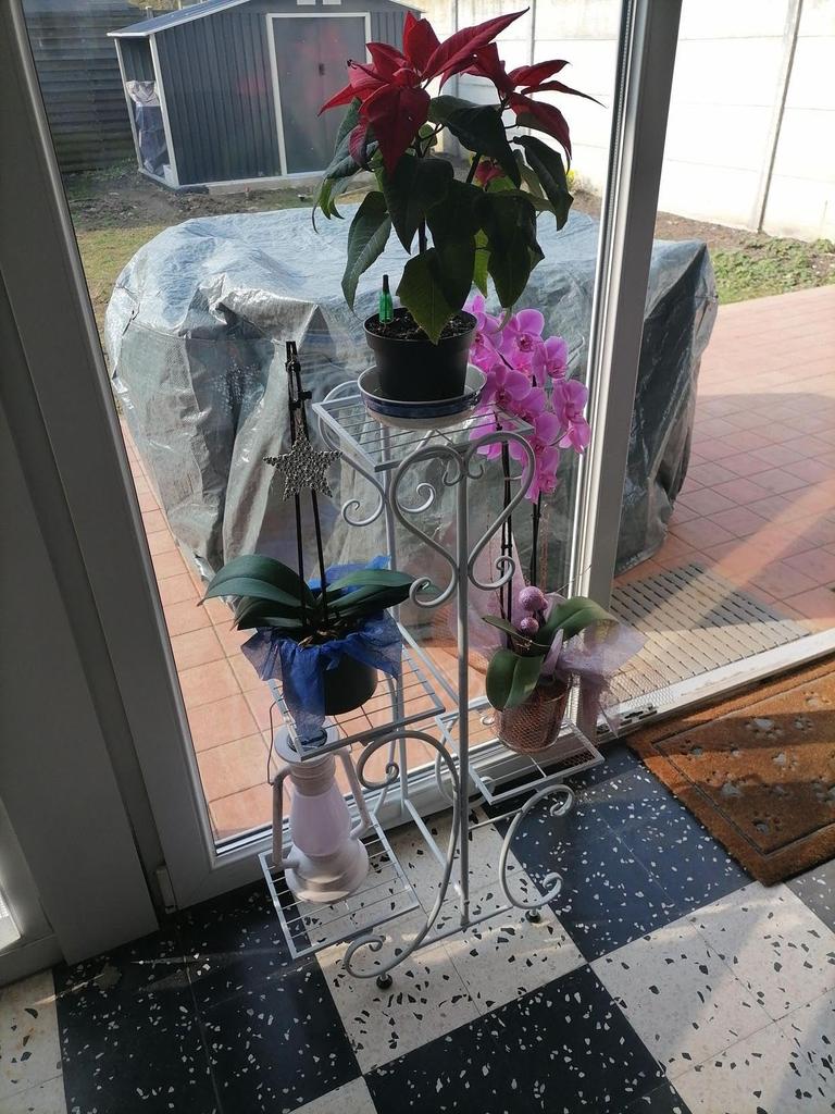 Flower Flower Planter Flower Ornamental Plant Flower Gardening Potted Flower Pot Stand Stand, Iron, White, Stylish, Indoor, Gardening, Shelf, Rack,