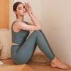 Sculp Pig [Swl22003-05] Flex Air Leggings Artichoke Mint