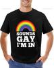 Sounds Gay Im in Rainbow Shirts Gay Pride Printed Tshirt LGBT TShirt Rainbow Equality Lesbian Man T Shirt Funny Cotton Shirts