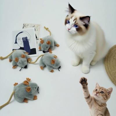 Katzen – Katzenspielzeug