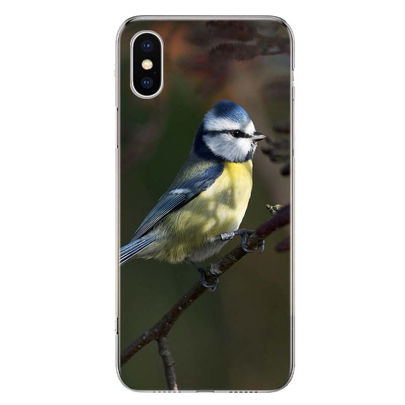 Magpie Bird Cover Phone Case For Apple iPhone 11 12 13 14 Pro 7 XR X XS Max 6 6S 8 Plus + Mini 5 SE Print Soft Cover Coque