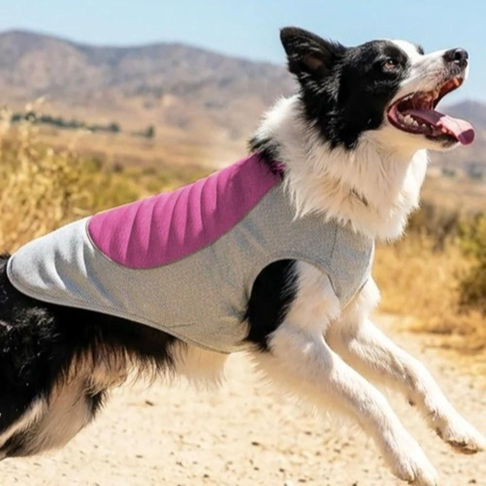 Sonnenschutz Haustier Kühlshirt Eis-Seide Haustier Kühlkleidung Haustierbekleidung Hund Kühlmantel Strand Reise