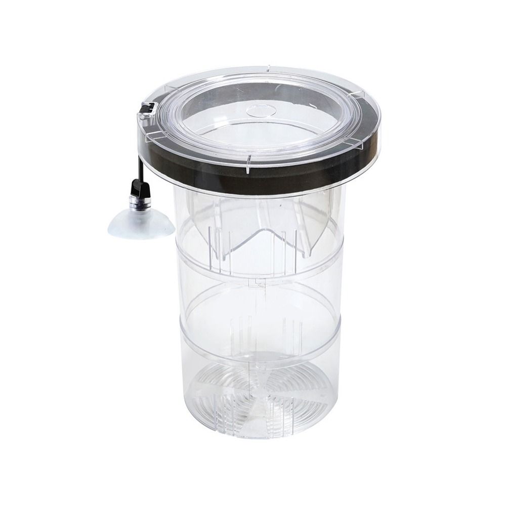 Suction Cup Floating Hatching Box Semi-transparent Aquarium Breeder Feeder  Aquarium