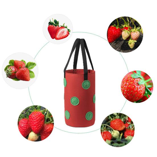 Pestovateľské vrecko Odolné veľkokapacitné netkané textílie Závesné vrecko na kvetináče na jahody do záhrady