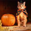 ABMH-Halloween Cat Costume Cloak Witch Hat Pet Clothes Halloween Cats Dogs Puppy Halloween Carnival Party Supplies