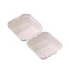 OLOEY 100-Pack Sugarcane Pulp Disposable Food Containers