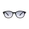 [Daiwa] Lens Changeable Polarized Glasses DN-8044CH Gray