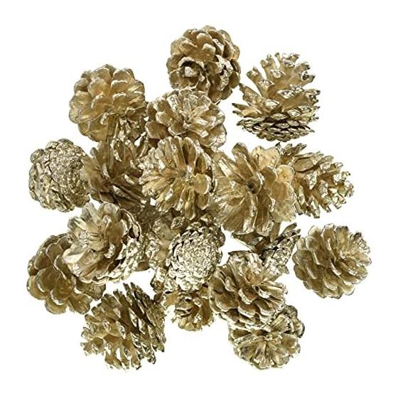 TOKA Dried Flowers Small Pine Cone Platinum Gold Approximately L3.0~4.0cm 20pcs DT074335-zzz