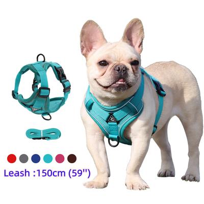Set Pettorina e Guinzaglio Accessori per Animali Domestici Pettorina per Cani di Piccola Taglia Bulldog Francese Carlino Cucciolo Pitbull Collare Pettorale Forniture per Cani