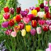 CV33001-3 PRODUCT ROSE Large HEAD artificial flowers FOR WREATH DECORATIONS BURGUNDY VELVET 8cm