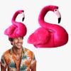 Accesorii