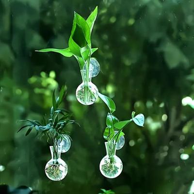 2 Pcs Wall Hanging Terrariums Planter for Hydroponics Plants Clear Propagation Station Wall Mounted Flower Vase for Home Office Living Room Decor