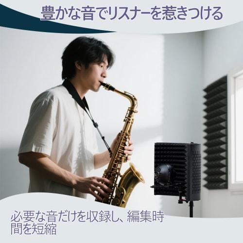 This Foldable, Reflective Filter Microphone Shield Is Made with High-performance Sound-absorbing and Sound-proofing Materials. It's Lightweight and Po