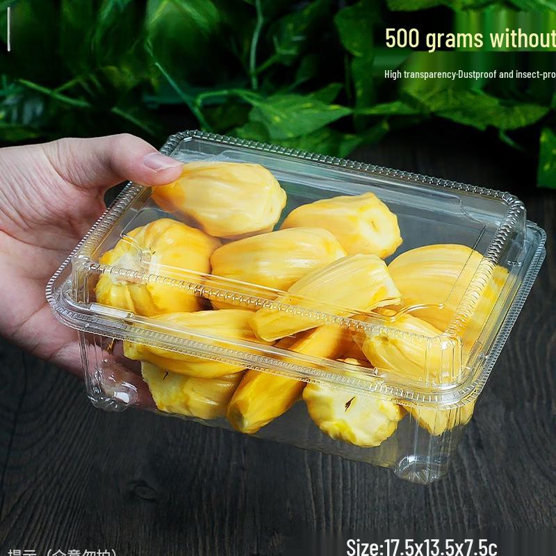 Disposable Plastic Fruit Packaging Boxes