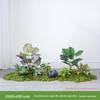 Luxury Faux Green Plant and Flower Decor - Indoor Moss and Grass Clusters for Elegant Landscaping.