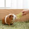Natural Loofahs Rabbits Chew Toy for Mices Small Pet Promotes Dental Health Safe Durability Fun Play