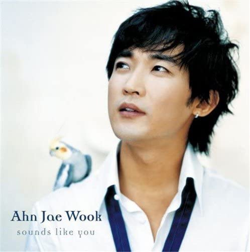 

CD JAE WOOKAHN Sounds like youDVD PCCA02248 Japan Pop Used