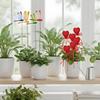 4Pcs 3D Dragonfly Flower Dragonfly Garden Arrangement Yard Planter Colorful Dragonfly Heart Patio Garden Decoration Outdoor