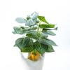Plant Realistic Leaves Terrariums Hanging Plant Decorations Flexible Reptiles for Reptiles and Amphibians
