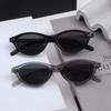 Elegant Cat Eye Oval Sunglasses 2025 for Women – High-End European & American Fashion