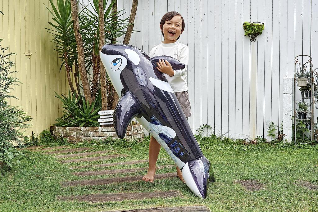 Igarashi Mini Killer Whale Float 130 x 83cm (Black) FRB-179V
