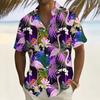 Camisas – Camisas de manga curta