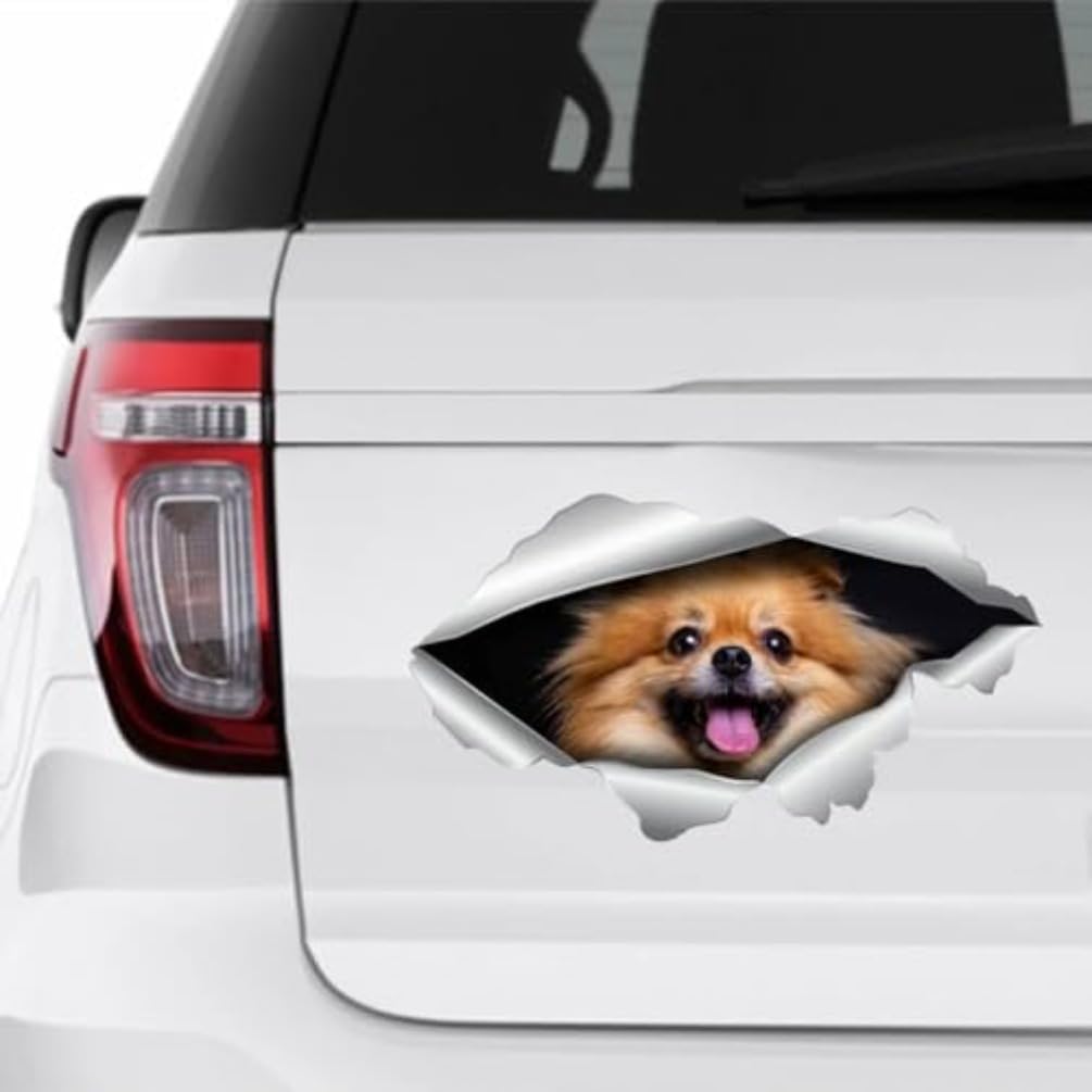2Pcs Pomeranian Dog Sticker 15x8cm, Vinyl Car Decal for Bumper,