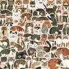 64 Cute Cartoon Animal Image Doodle Stickers For Journals, Stationery, Luggage, Notebooks, And Decorations