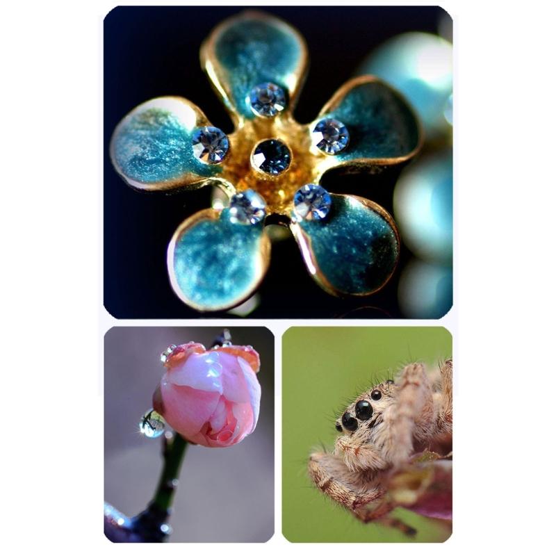 Lens Filter Yellow/Orange/Macro-/CPL-/Lens Set Seawater Fish Tank Coral Cylinder Photography Lens for Smartphones
