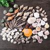 Beach Seashells Decoration Starfish Sea Snail Coral Ornament for Wedding Party