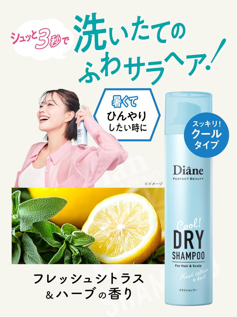 Diane Cool Trockenshampoo Fresh Citrus Perfect 95g (Wasserloses Shampoo) & Kräuter, Schönheit,