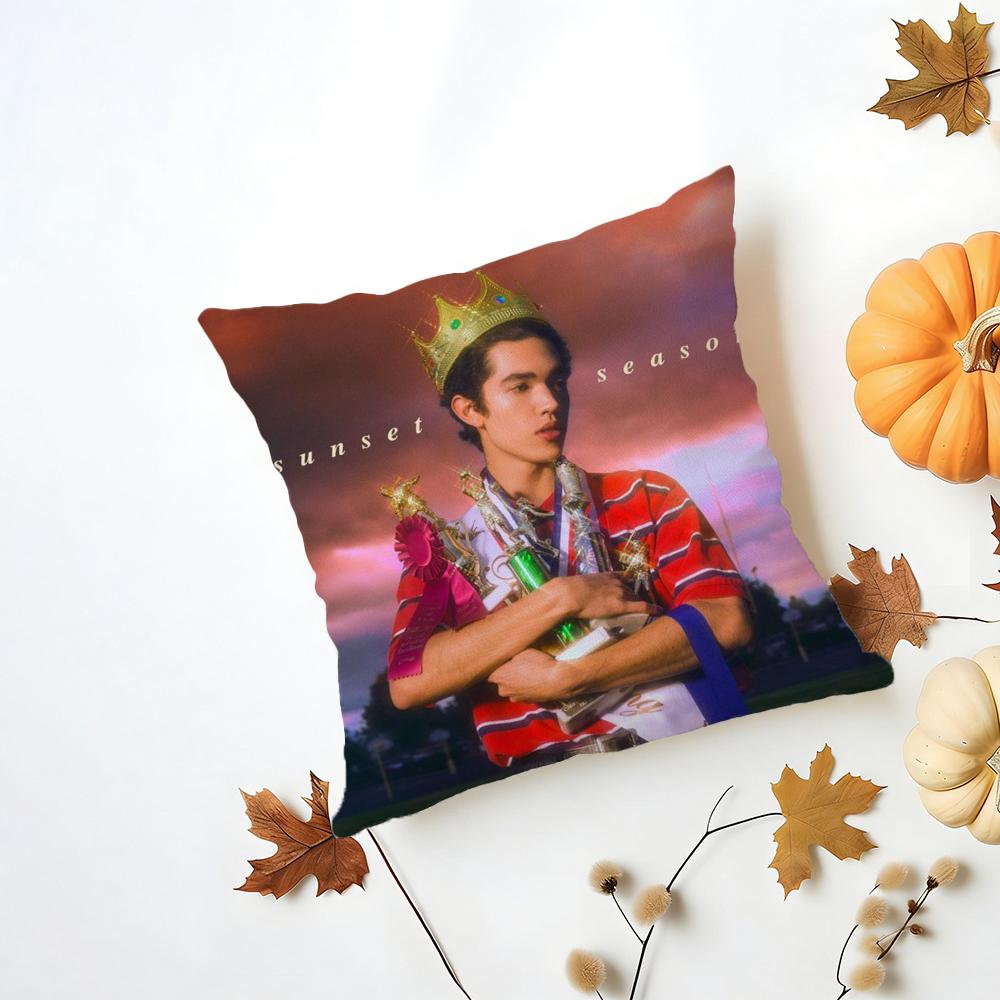 Conan Gray Holidays Cushion Cover Iceland Washable Linen Soft  for Daily Sofa Bed Home Room Decor
