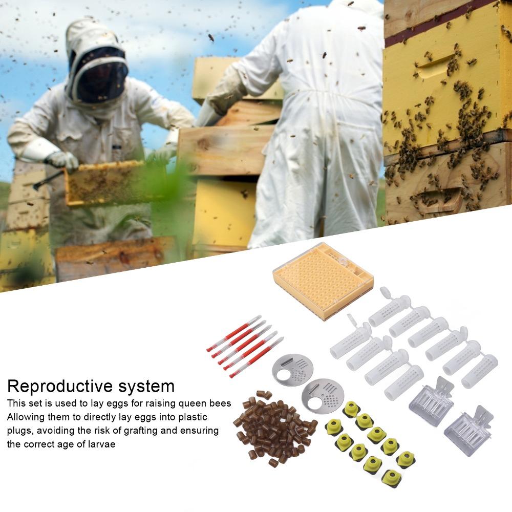 130 Pcs Set Durable Queen Bee Rearing Grafting Kit Plastic Beekeeping Queen Rearing Box  Beekeepers